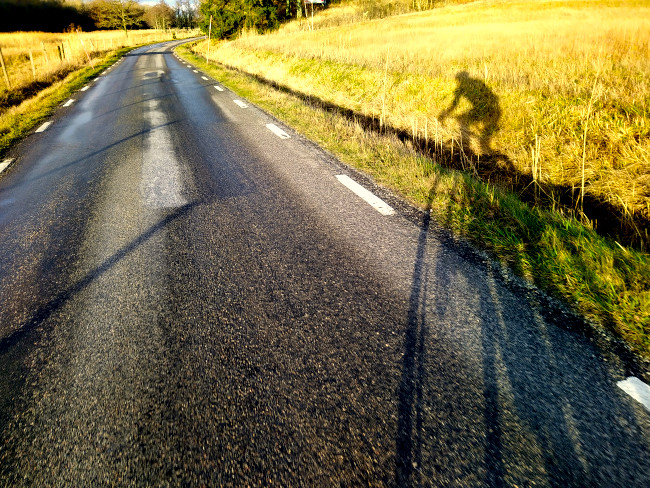 Skugga av en cyklist vid landsväg